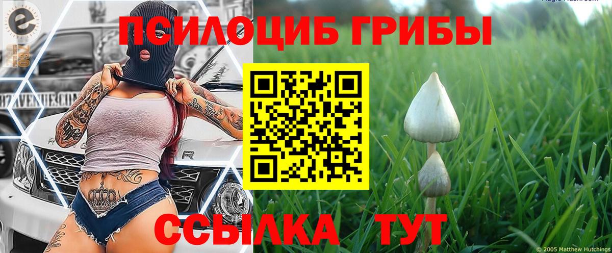 Галлюциногенные грибы ЛСД  Вход с VPN  где можно купить   Соликамск  Псилоцибиновые грибы GOLDEN TEACHER 